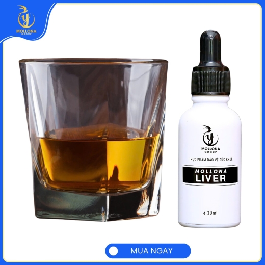 LIVER Mollona – Giúp Mát Gan, Giải Độc Gan Giảm Men Gan, suy gan, Xơ gan..