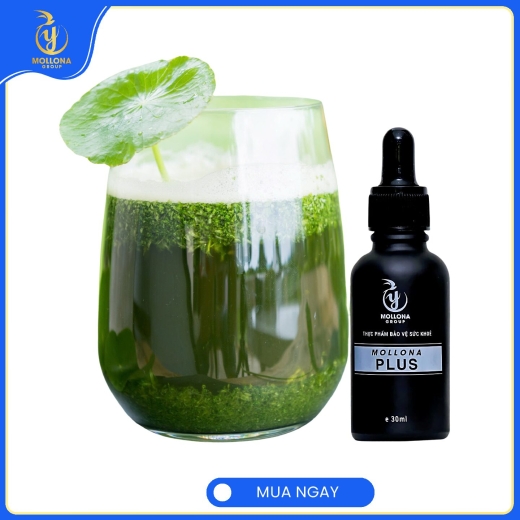 PLUS Mollona – Hỗ Trợ Điều Trị nhanh các Triệu Chứng Viêm loét dạ dày Viêm loét thực quản , Tâm vị , Hang vị